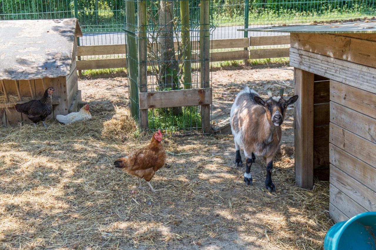 Camping Antioche D'Oleron La Bree-les-Bains Ngoại thất bức ảnh